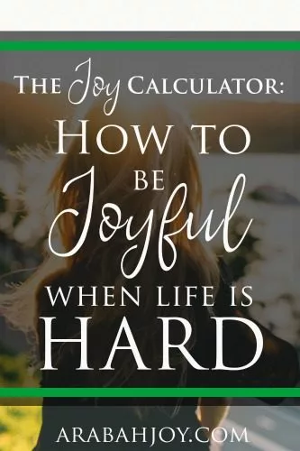 The Joy Calculator