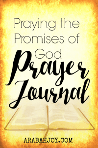 Click over to grab a copy of this prayer journal (it's free!)