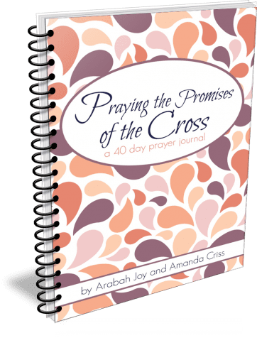 This journal will guide you through praying different promises of the gospel, such as forgiveness, adoption, righteousness, transformation, and much more. Let the gospel transform you afresh!