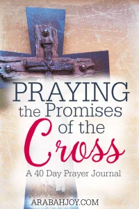 Join the 40 Day Challenge and pray one promise of God each day! See how Praying the Promises of the Cross transforms your life