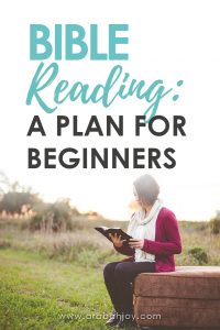 When I first started reading the Bible I had no idea where to start. The Bible is a big book! Here is an ideal Bible reading plan, especially designed for beginners.