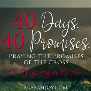 Ever wondered where to begin praying God's word? Why not start with His promises! Here's a challenge to help you start praying God's promises each day.