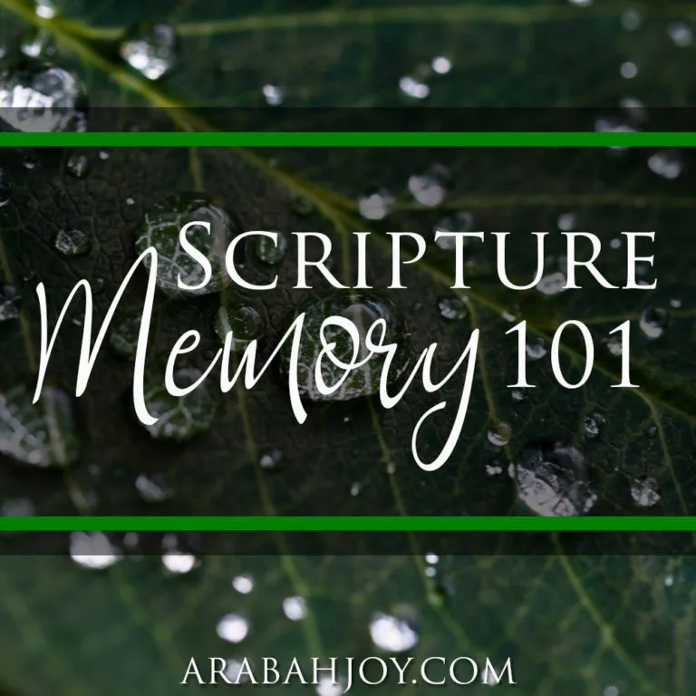 Scripture Memory 101