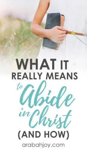 What it Really Means to Abide in Christ