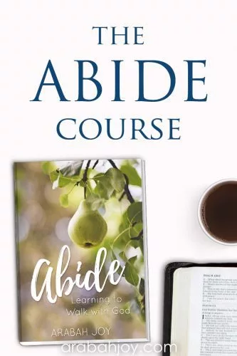 If you struggle with abiding in Christ, take our 5-day mini course and learn to deepen your intimacy with Jesus as you remain in Him. #faithbuilding #spiritualgrowth #Biblestudy