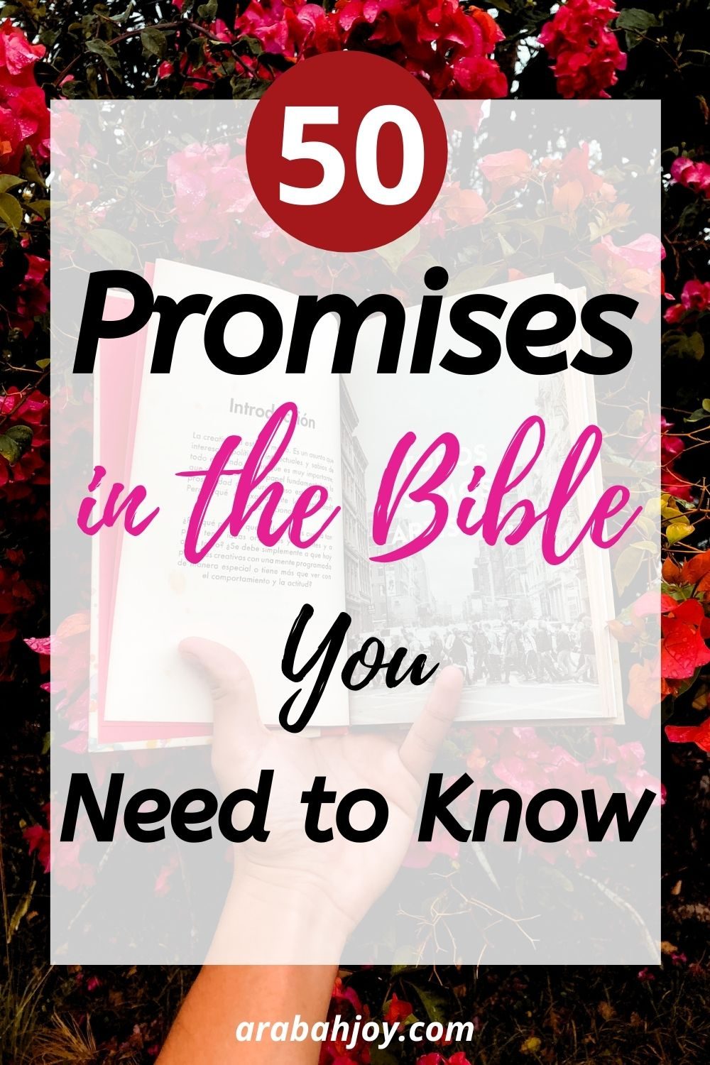 The promises of God can bring strength and comfort to our hearts. Here are 50 of God's promises you can stand on when life gets uncertain.