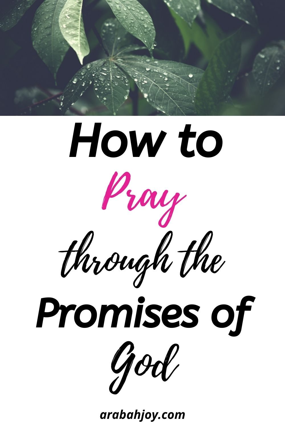How to pray through the promises of God