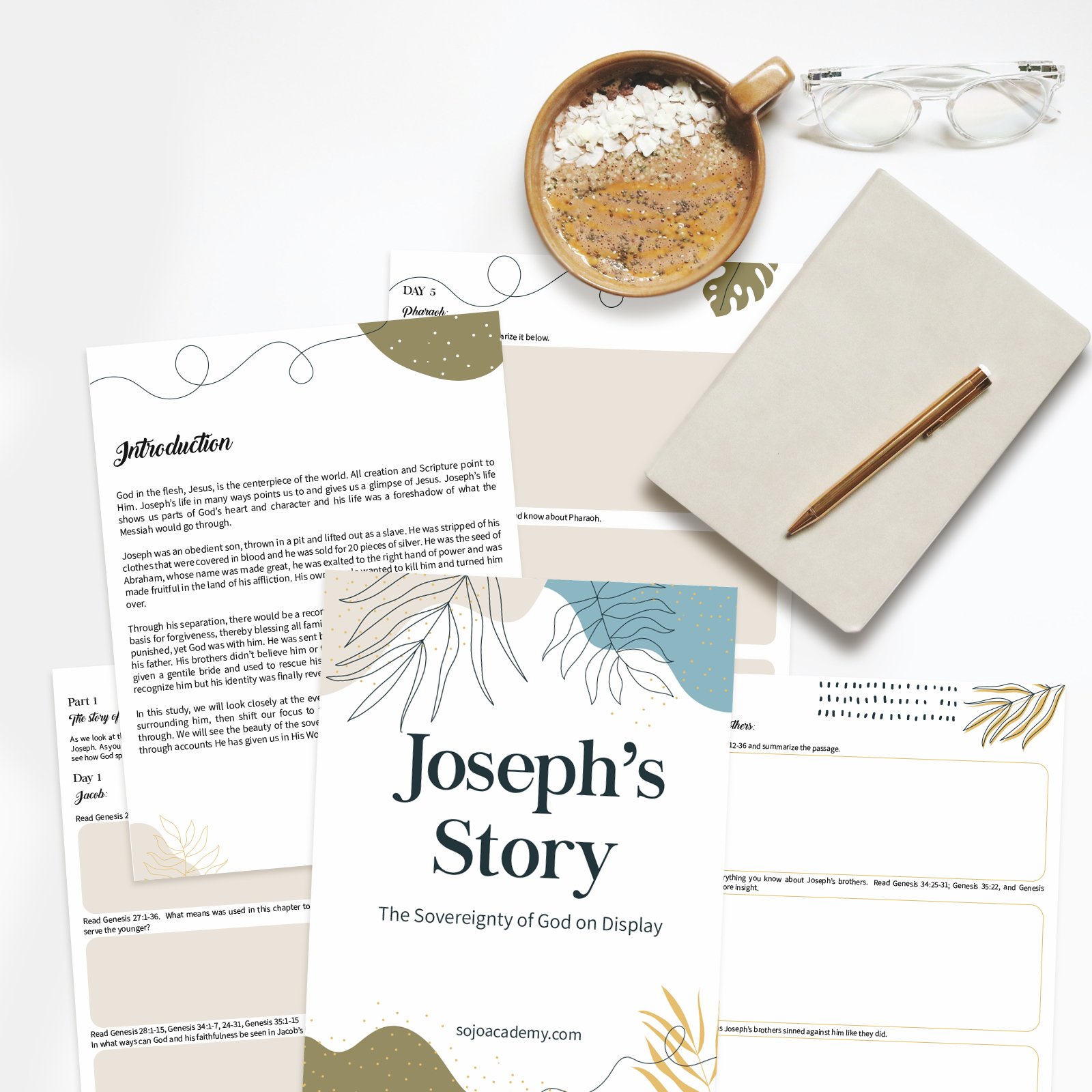 Joseph's Story The Sovereignty of God on Display