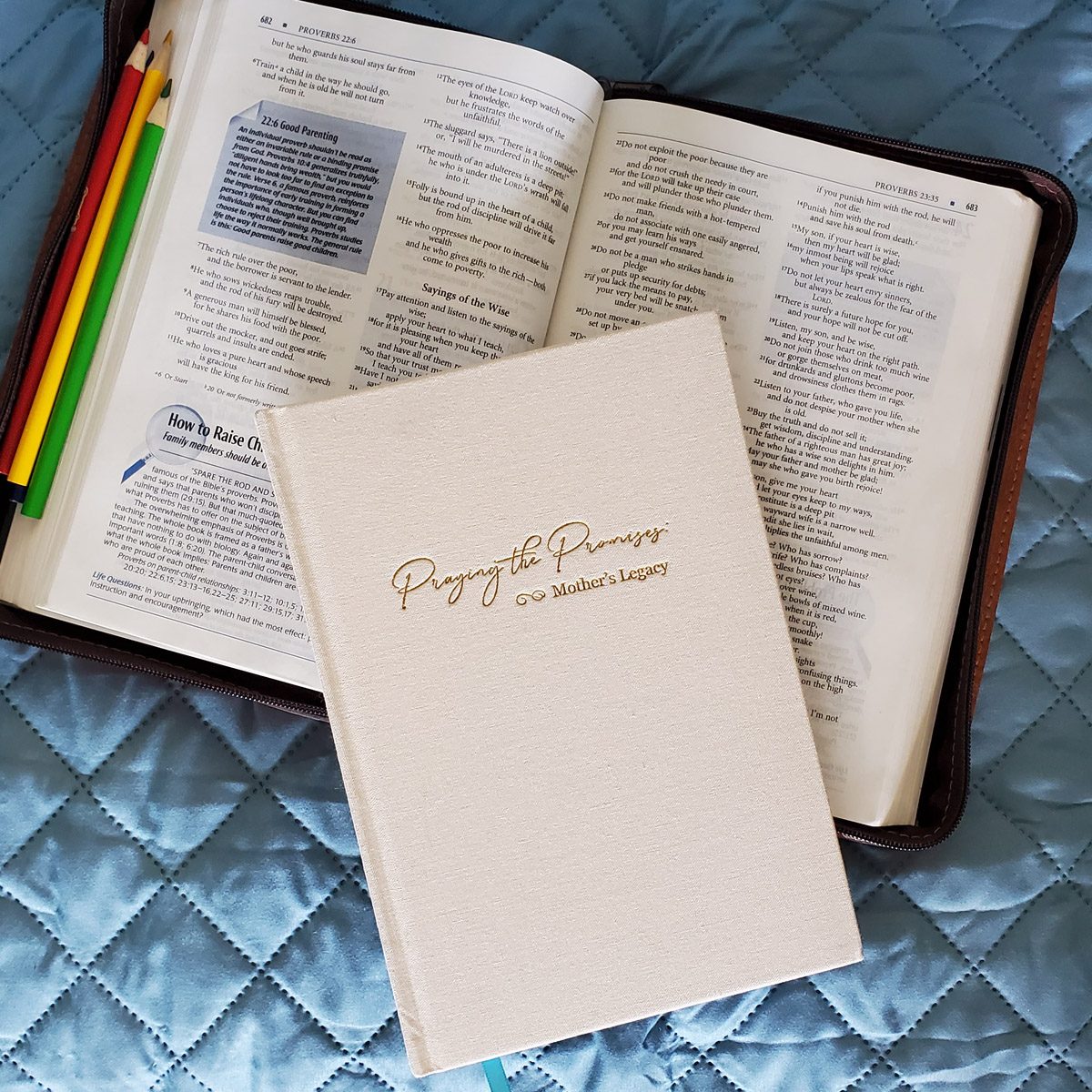 Praying God's word over your children is easy with our NEW Praying the Promises Mother's Legacy prayer journal. Hop over to learn more...